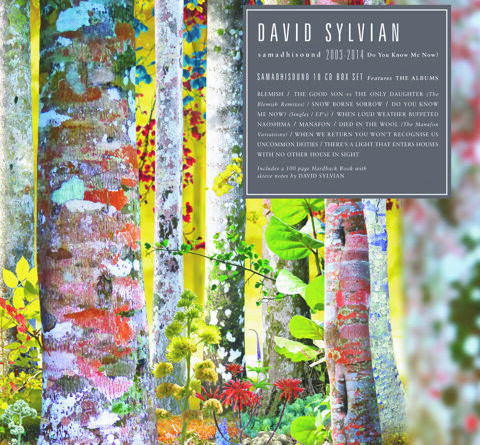 DAVID SYLVIAN 10 CD BOX SET – Blitzed Magazine