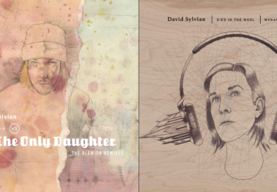 DAVID SYLVIAN REISSUES